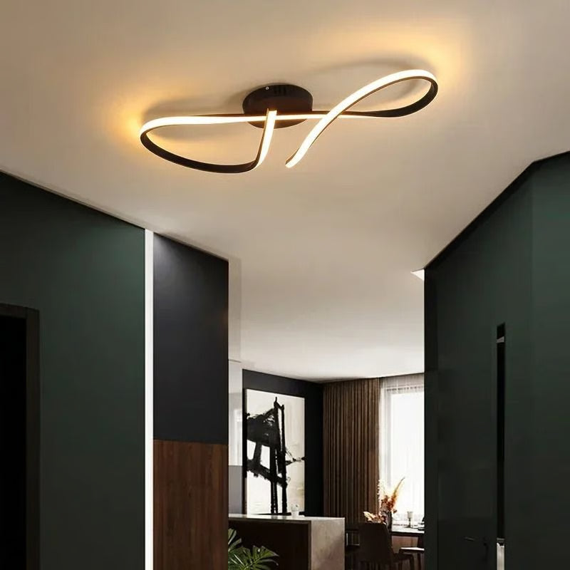 Modern LED Ceiling Light for Indoor Stylish Illumination